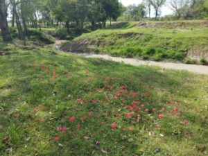 CHACRAS DEL GOLF - Bury Mayer Estudio de Arquitectura
